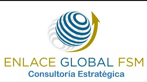 Enlace Global FSM Consultoría Estratégica