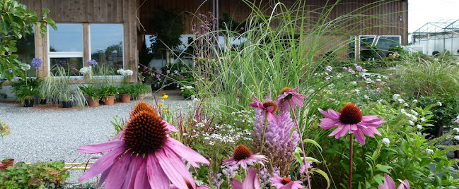 wüthrich pflanzen ag - Blumengeschäft