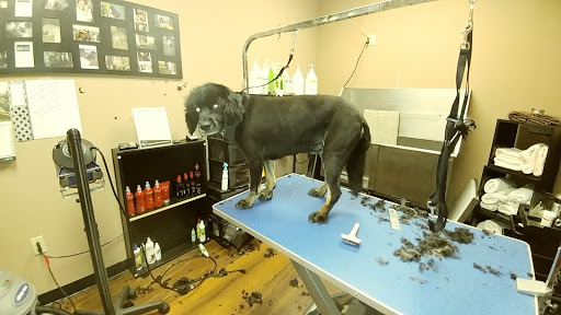 Pet Store «Pet Valu», reviews and photos, 2645 Shillington Rd, Sinking Spring, PA 19608, USA