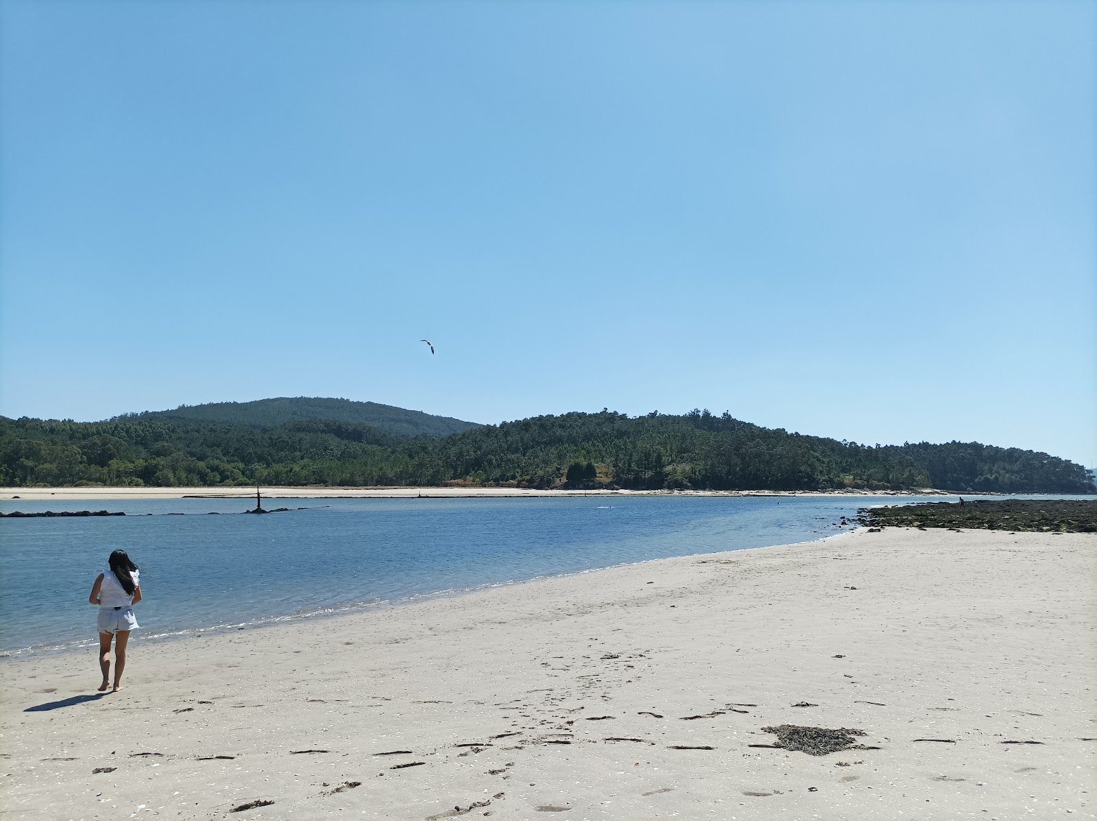 Praia do Arino'in fotoğrafı doğal alan içinde bulunmaktadır