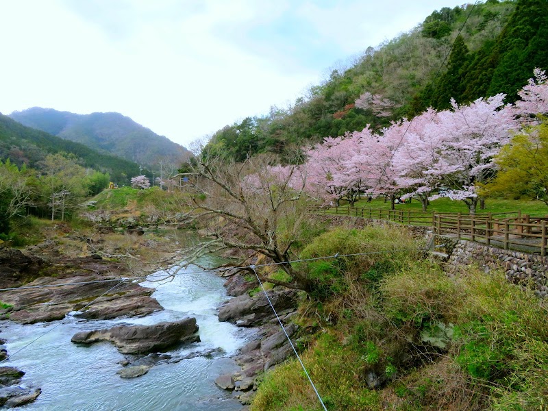 川代公園 兵庫県丹波市山南町上滝 公園 観光名所 グルコミ