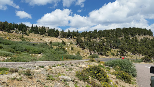 Nature Preserve «Mount Goliath Natural Area», reviews and photos, Mt Evans Rd, Evergreen, CO 80439, USA