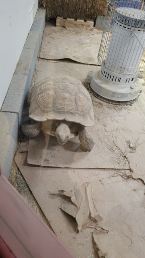 Pet Supply Store «Living Things», reviews and photos, 3437 PA-309, Orefield, PA 18069, USA