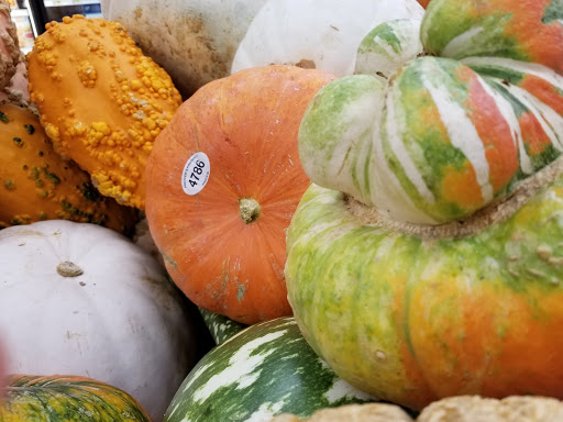 Supermarket «Weis Markets», reviews and photos, 498 Pottstown Ave, Pennsburg, PA 18073, USA