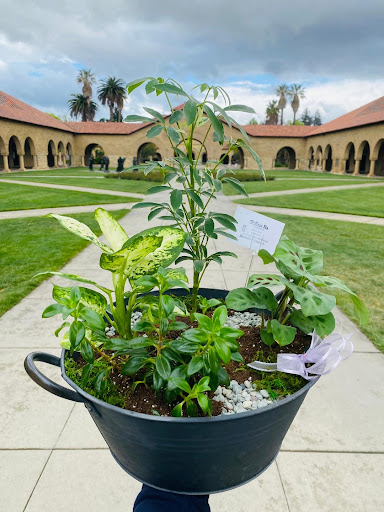 Florist «Mills the Florist», reviews and photos, 235 University Ave, Palo Alto, CA 94301, USA