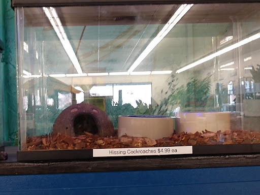 Pet Store «Pet Stop», reviews and photos, 6218 Nieman Rd, Shawnee, KS 66203, USA