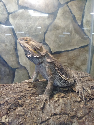 Pet Supply Store «Saluda River Pet», reviews and photos, 130 Robin Helton Dr, Boiling Springs, SC 29316, USA