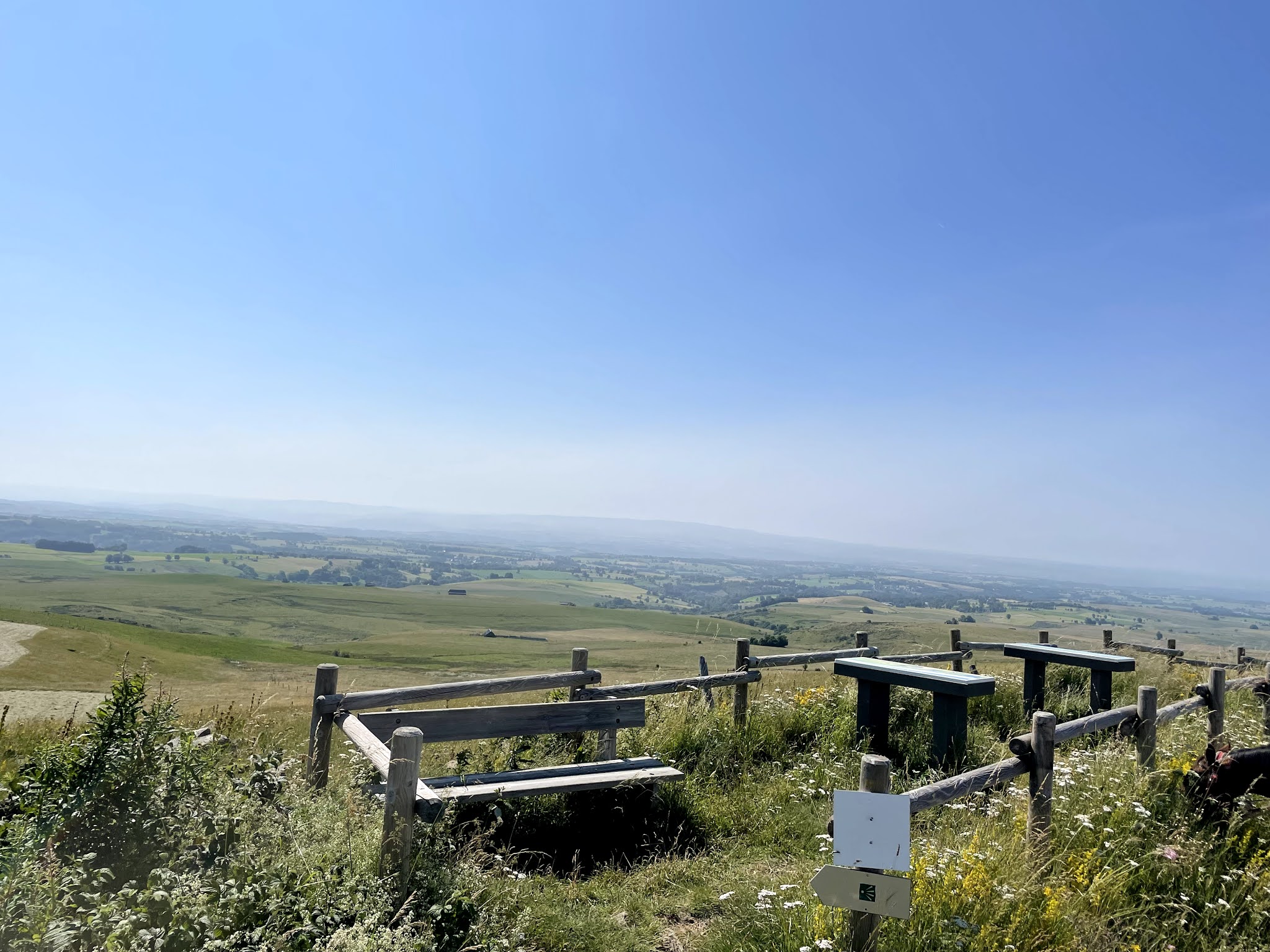Photo n° 2 de l'avis de THÉO.E fait le 22/07/2021 à 17:10