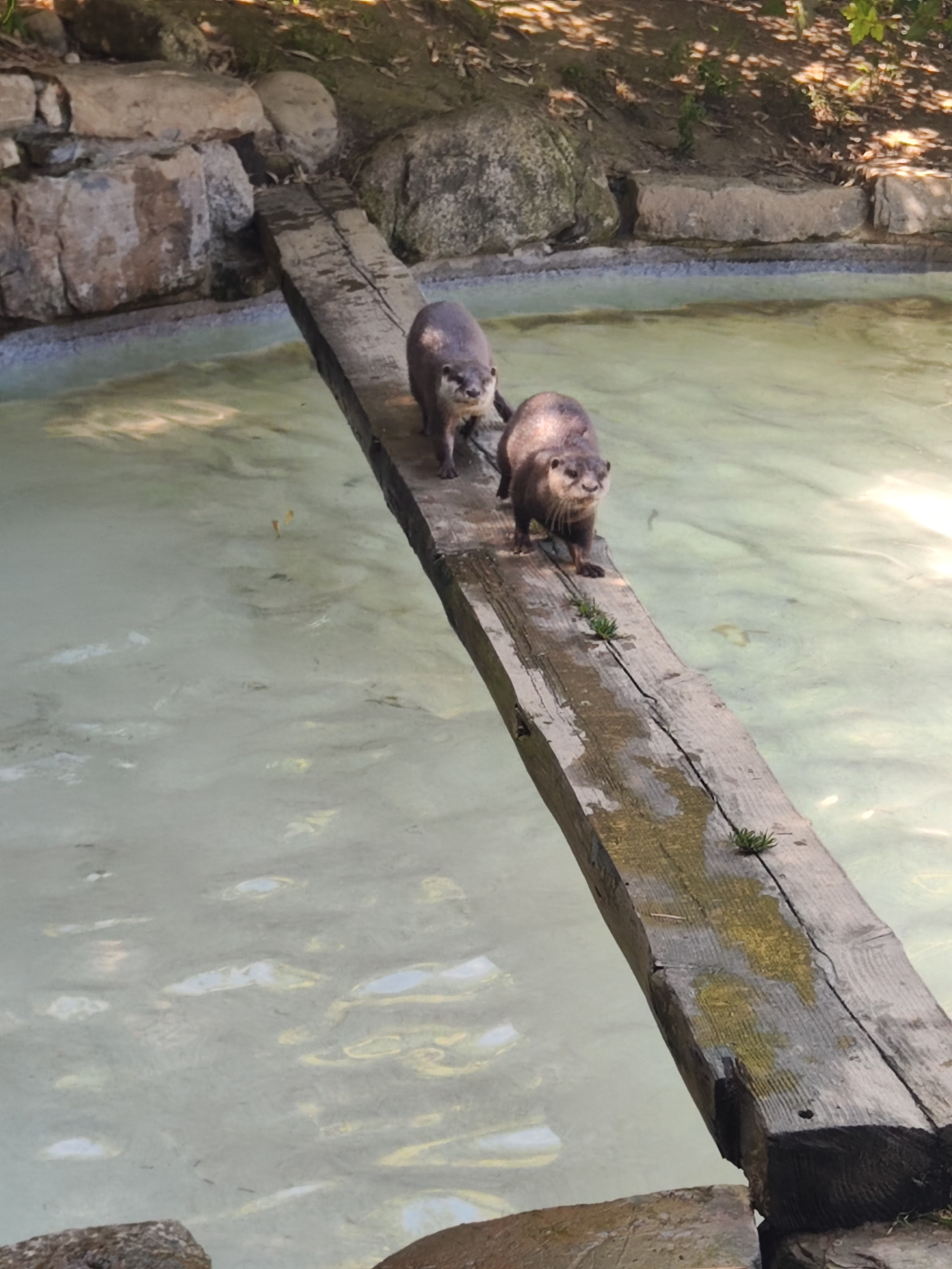 Photo n° 1 de l'avis de Audrey.a fait le 16/08/2023 à 08:01