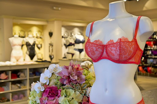 Stores to buy women's plus size bras Houston