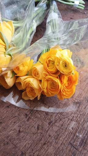 Florist «The Flower Place», reviews and photos, 860 NE 79th St, Miami, FL 33138, USA