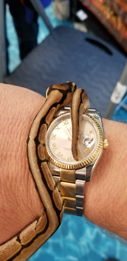 Pet Supply Store «Petco Animal Supplies», reviews and photos, 4011 Durham-Chapel Hill Blvd, Durham, NC 27707, USA