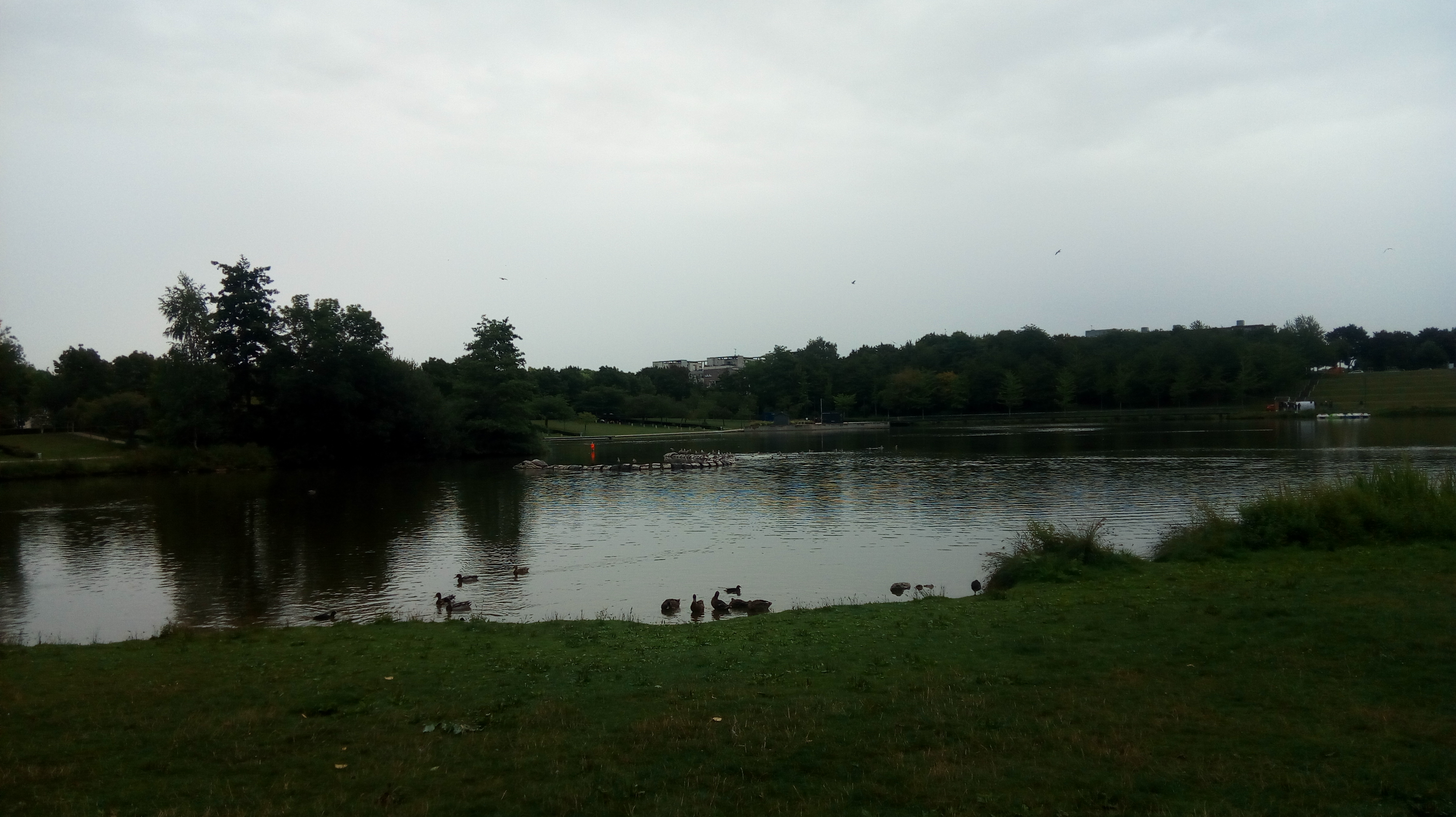 Photo n° 3 de l'avis de Delphine.o fait le 14/08/2019 à 18:20