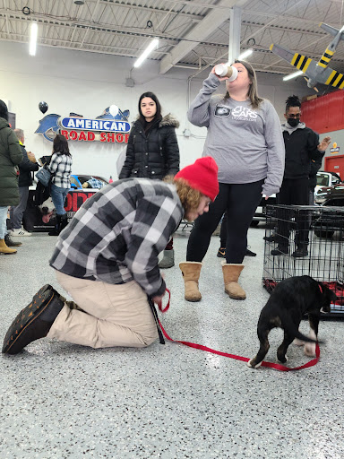 Used Car Dealer «City of Cars», reviews and photos, 1695 Stutz Dr, Troy, MI 48084, USA