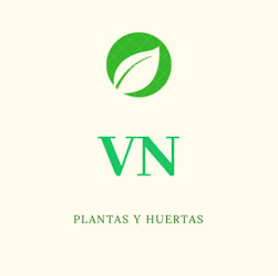 VN plantas