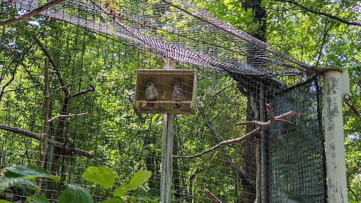 Museum «EcoTarium», reviews and photos, 222 Harrington Way, Worcester, MA 01604, USA