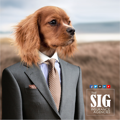 The SIG Insurance Agencies: East Windsor, CT