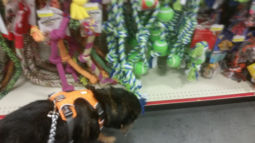 Pet Supply Store «Care-A-Lot Pet Supply Indian River», reviews and photos, 5457 Indian River Rd, Virginia Beach, VA 23464, USA