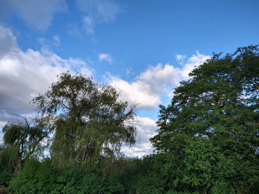 Golf Club «Marquette Park Golf Course», reviews and photos, 6700 S Kedzie Ave, Chicago, IL 60629, USA