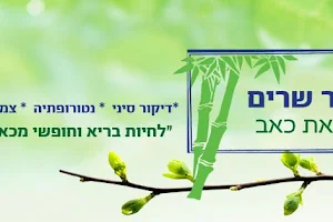 Avner ministers - acupuncture, naturopathy, herbal medicine and pain management. image