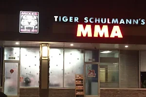 Tiger Schulmann's Martial Arts (Allentown, PA) image