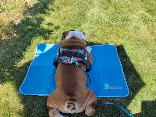 Winery «Priam Vineyards», reviews and photos, 11 Shailor Hill Rd, Colchester, CT 06415, USA