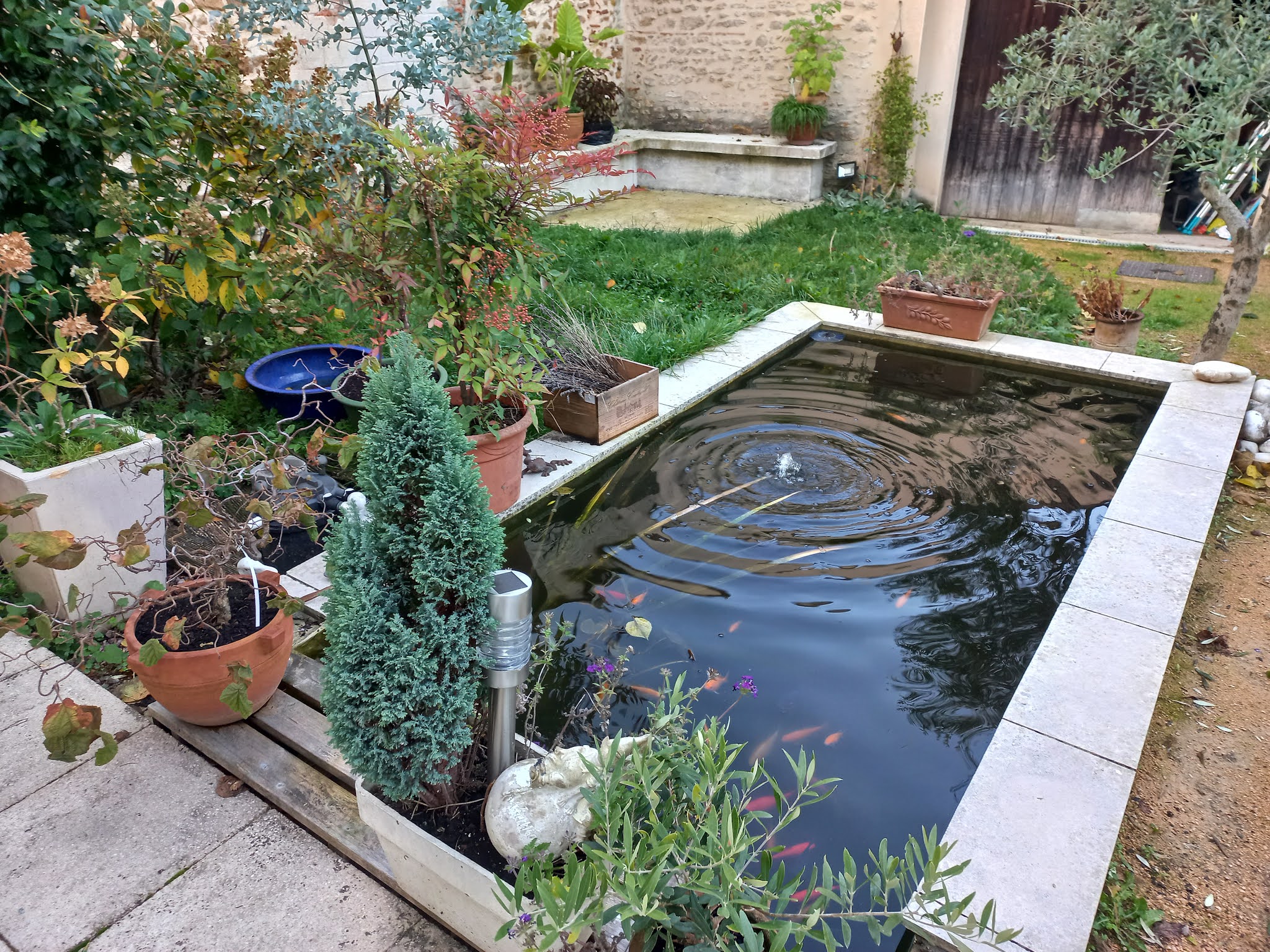 Photo n° 3 de l'avis de Marie.e fait le 22/11/2021 à 16:46