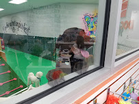 Dog House Miami - Photo 4 - Car repair in Miami Lakes, FL, Hialeah