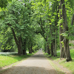 Photo n°6 de l'avis de Martina.o fait le 20/05/2022 à 14:18 sur le  Rosencafé Putbus, Kurimmobilien Raulff oHG à Putbus