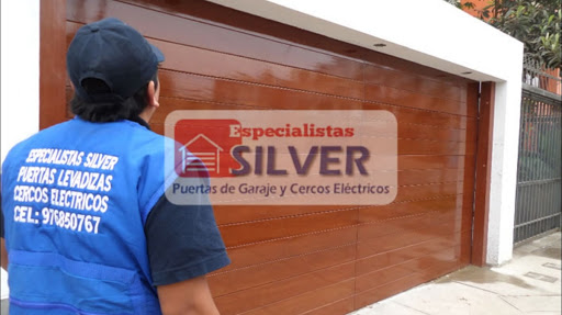 Puertas Levadizas Seccionales Cercos Eléctricos Especialistas Silver