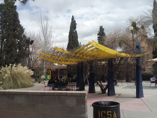 Universidades de psicologia en Ciudad Juarez