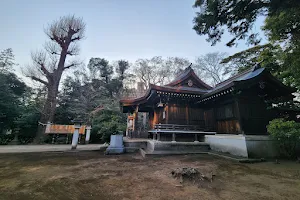 Shiroyama Kumano-jinja Shrine image