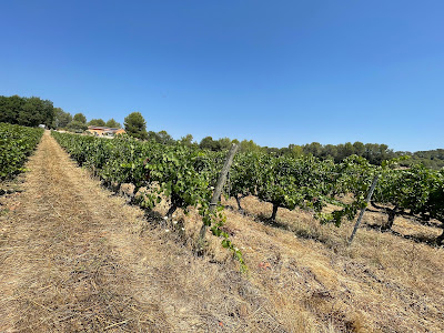 Domaine du Clos d'Alari à Saint-Antonin-du-Var
