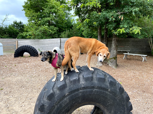 Campground «Bay View Campground», reviews and photos, 260 MacArthur Blvd, Bourne, MA 02532, USA