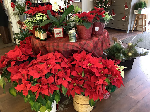 Florist «Cary Florist», reviews and photos, 100 Parkthrough St, Cary, NC 27511, USA