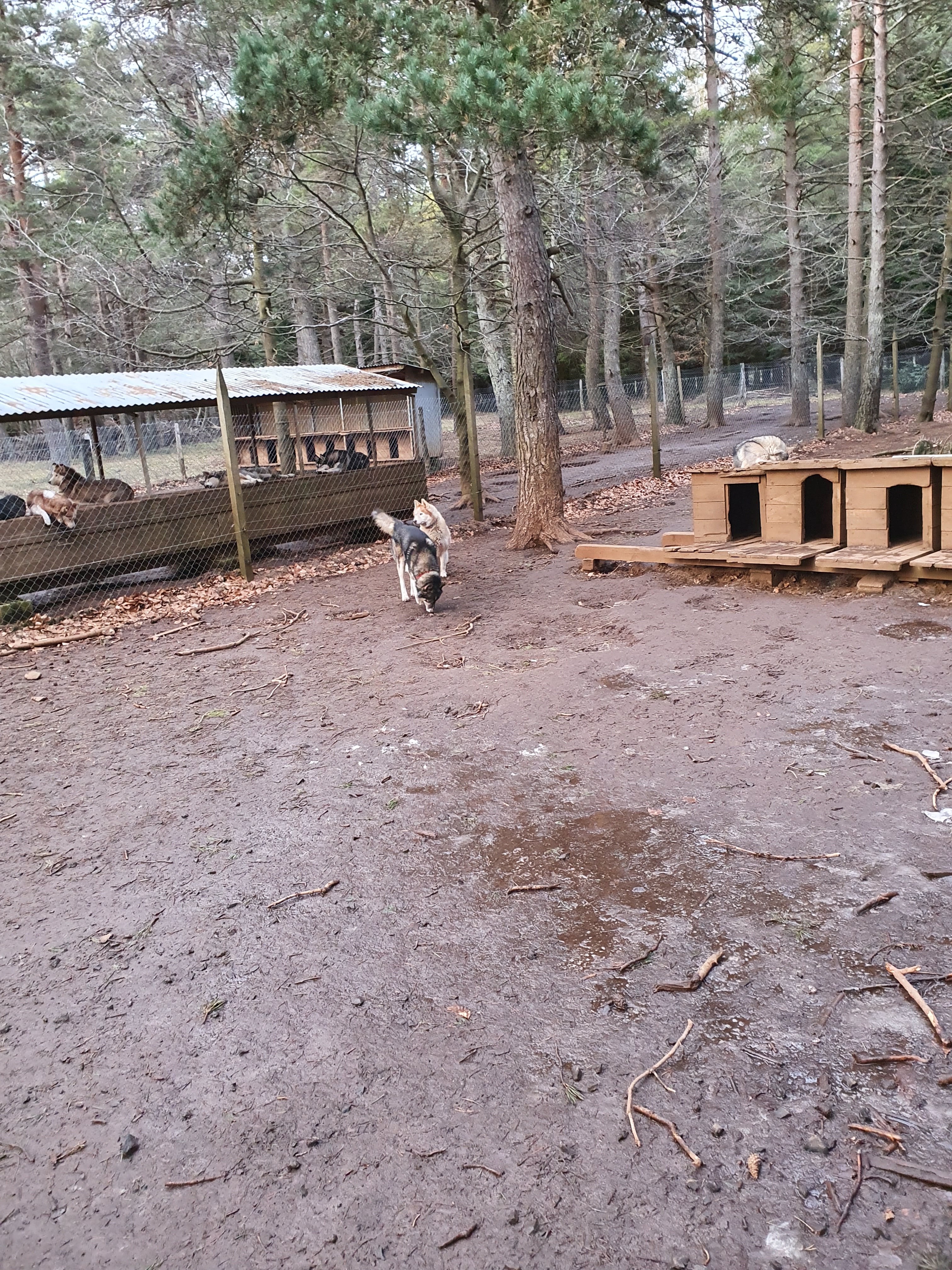 Photo n° 5 de l'avis de Boris.a fait le 29/02/2020 à 07:48