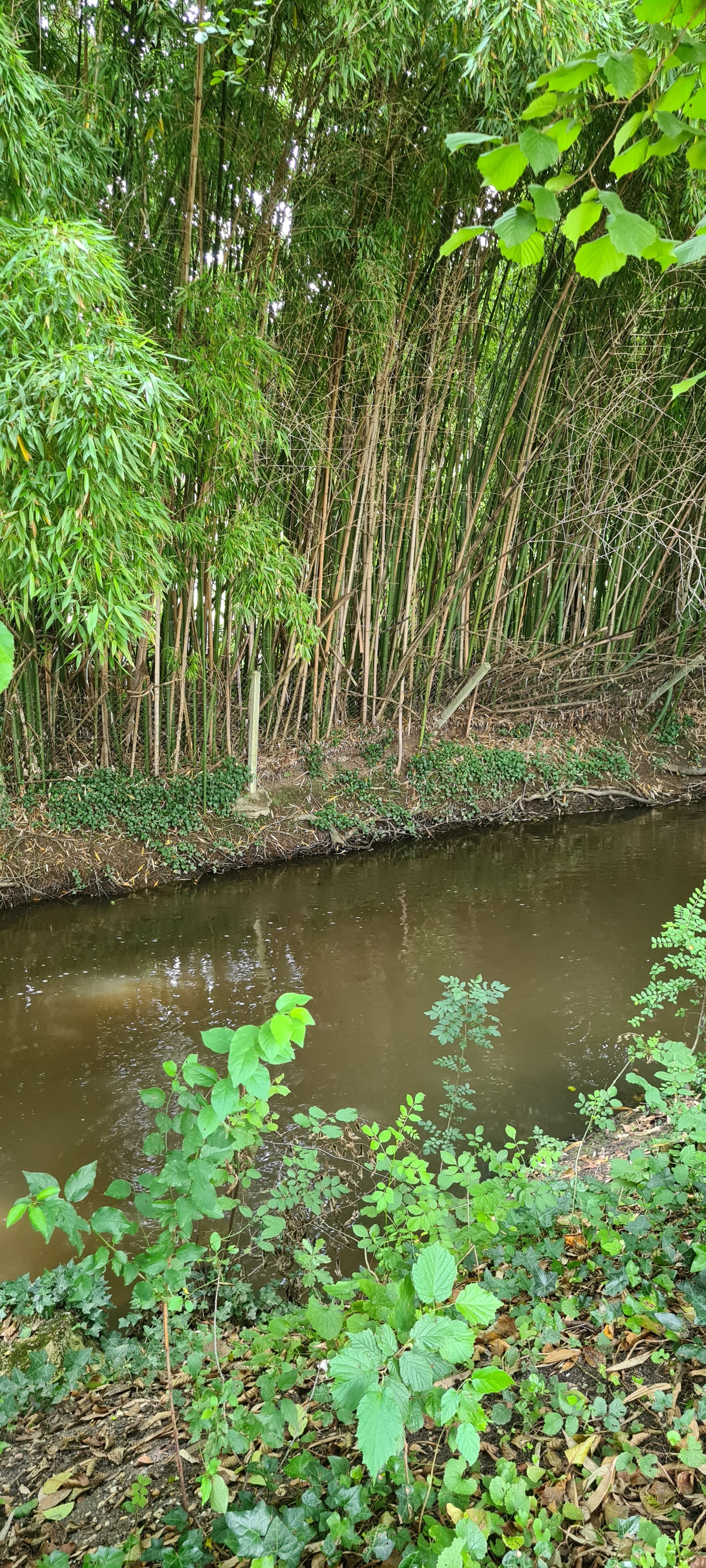 Photo n° 4 de l'avis de Carine.e fait le 11/07/2021 à 10:50
