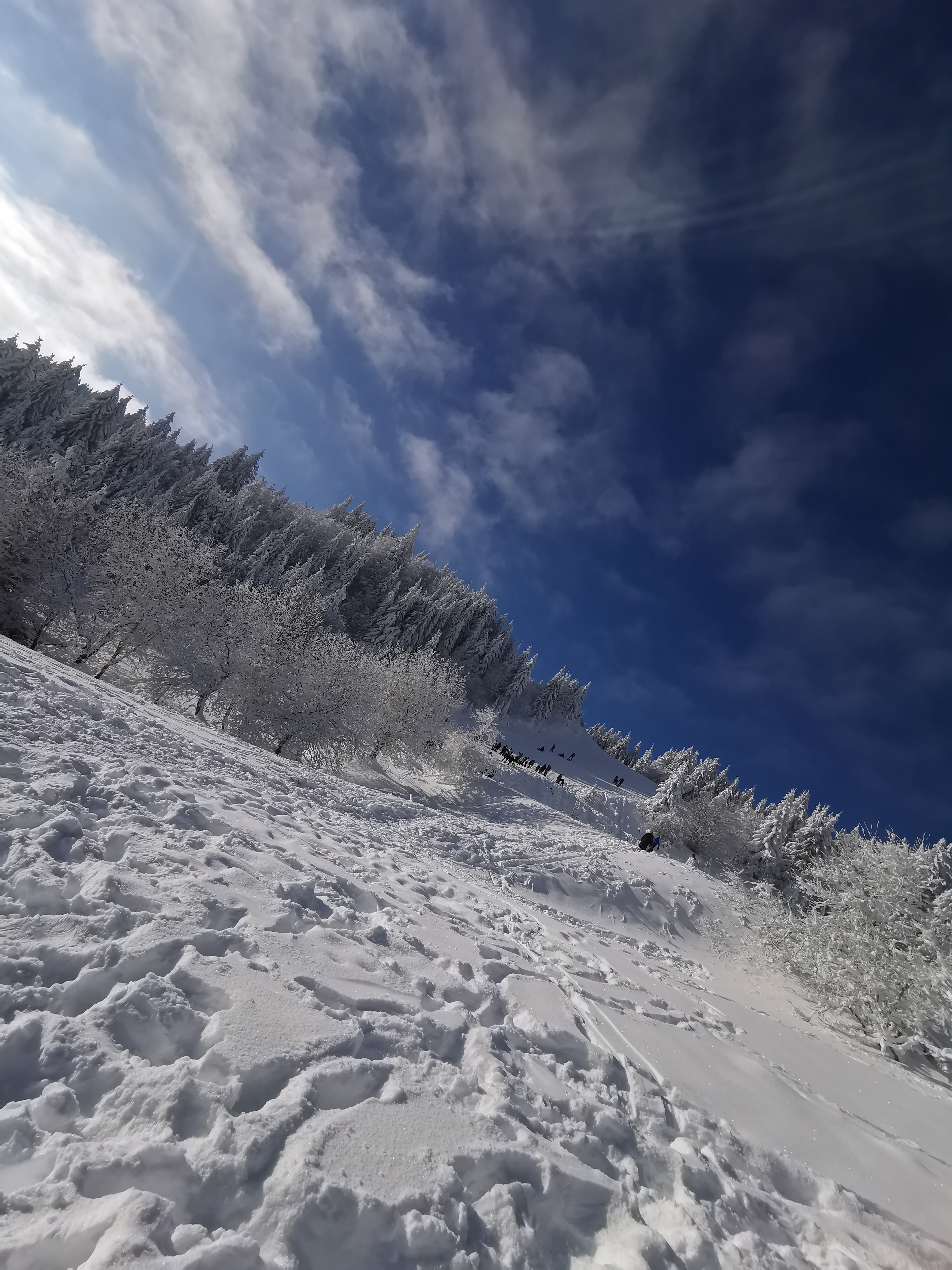 Photo n° 1 de l'avis de Nicolas.A fait le 10/01/2021 à 18:21