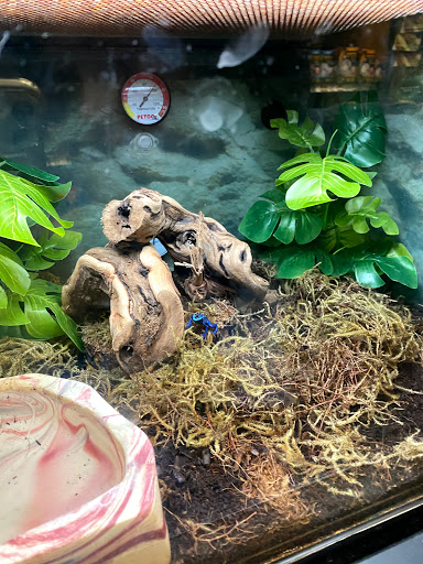 Pet Supply Store «Petco Animal Supplies», reviews and photos, 545 W Prien Lake Rd, Lake Charles, LA 70601, USA