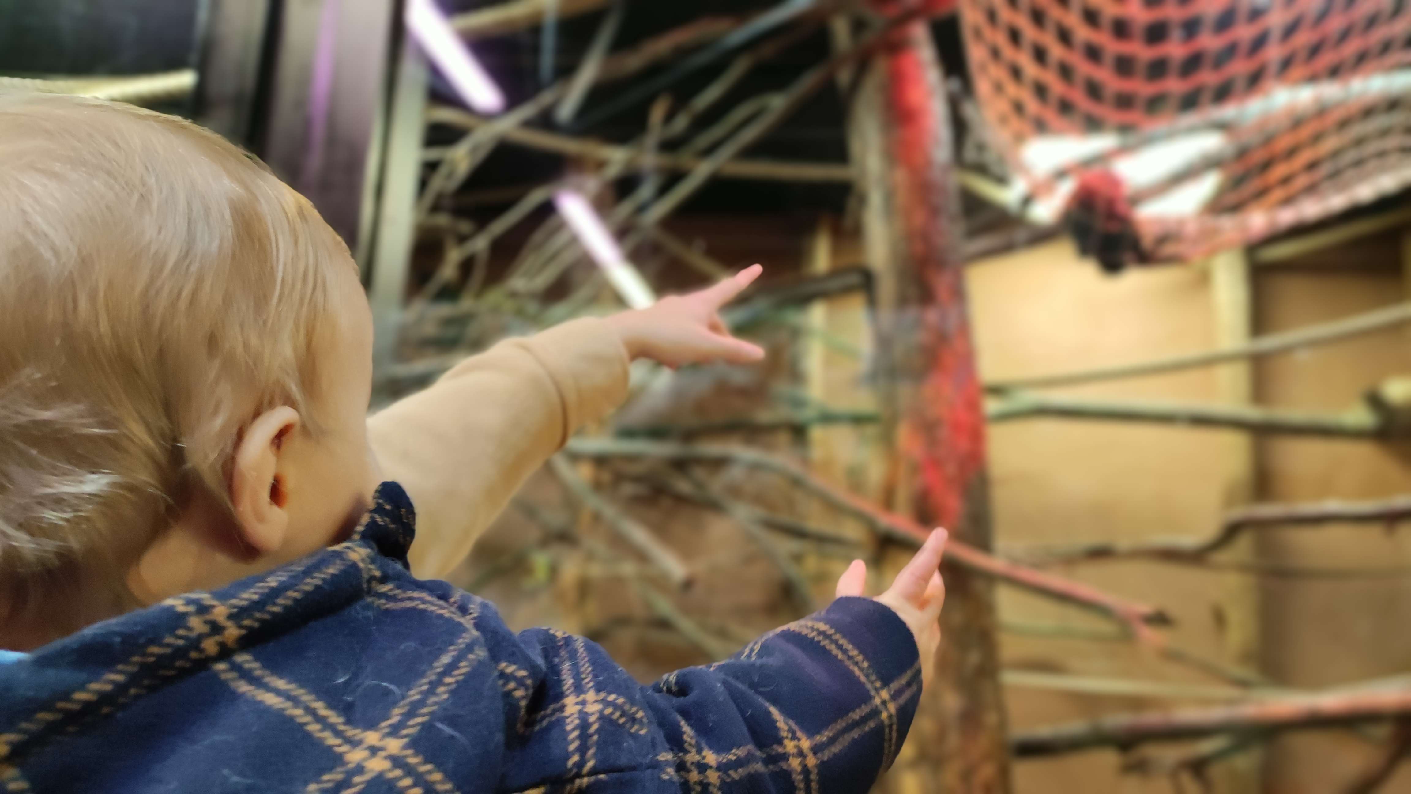 Photo n° 3 de l'avis de Sophie.m fait le 21/02/2023 à 11:09