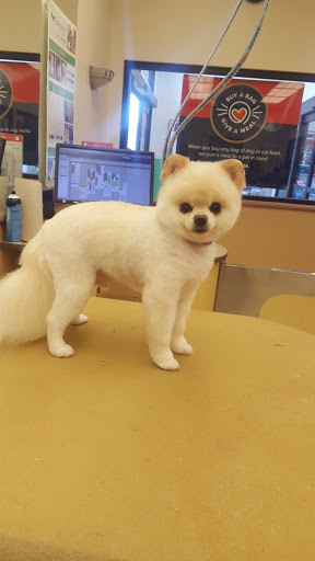 Pet Supply Store «PetSmart», reviews and photos, 1145 W Riverdale Rd, Riverdale, UT 84405, USA