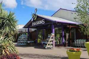 Haskins Garden Centre Ferndown image