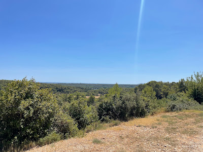 Forêt de Clapiers à Clapiers