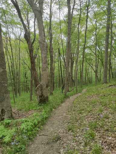 Nature Preserve «Engelmann Woods Natural Area», reviews and photos, 2360 Hwy D, Boles Township, MO 63304, USA