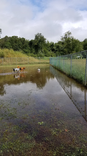 Dog Park «Dog Park», reviews and photos, 1001 W River St, Milford, CT 06461, USA