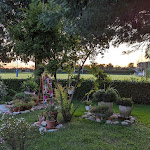 Photo n°3 de l'avis de Andrea.o fait le 24/09/2023 à 19:28 sur le  L'Ovale à Novara