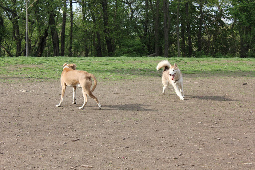 Frick Park Off-Leash Exercise Area