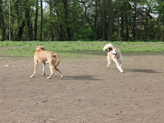 Frick Park Off-Leash Exercise Area