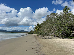 Zdjęcie Thornton Beach położony w naturalnym obszarze