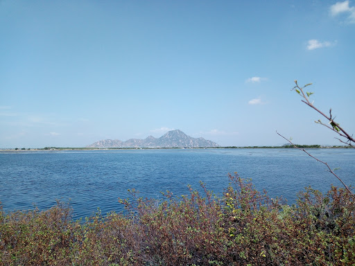 Đầm Nại